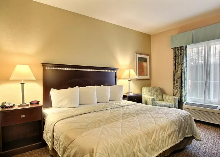 Magnolia Inn And Suites Pooler